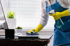 Guest House Room Cleaning/Organizing weekdays